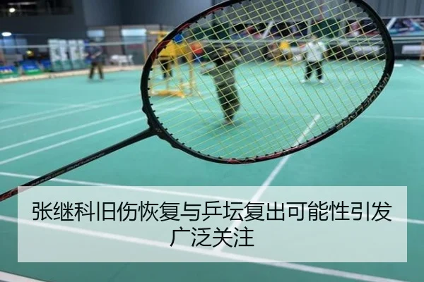 张继科旧伤恢复与乒坛复出可能性引发广泛关注